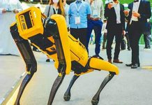 நாய் போன்ற தோற்றத்தில் பணியாற்றும் ‘ஸ்பாட்’ ரோபோ