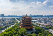 Siasat punca Covid-19, WHO tiba di Wuhan Khamis