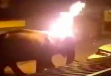 Gajah Umur 40 Tahun Maut Selepas Dibaling Tayar