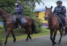 Unit berkuda FRU sesuai jaga sempadan negara – polis