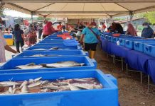 Program jualan masyarakat beri peluang B40