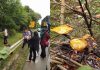 Terkandas Di Jalan Kuala Lipis-Raub