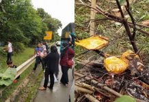 Terkandas Di Jalan Kuala Lipis-Raub