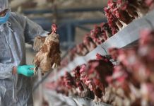 7 மாநிலங்களில் பறவை காய்ச்சல் எதிரொலி – உயிரியல் பூங்காக்கள் தினமும் அறிக்கை அளிக்க உத்தரவு