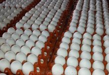 தரம் – அதுதான் நிரந்தரம்!