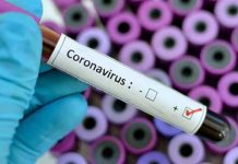 வெஜிடேரியன்களுக்கு கொரோனா வைரஸ் தாக்கும் வாய்ப்பு குறைவு – ஆய்வில் தெளிவு