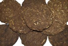 மாட்டு சாணத்தை அமேசானில் ஆர்டர் செய்து சாப்பிட்ட நபர்!