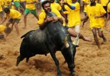 அலங்காநல்லூர் ஜல்லிக்கட்டு மாடுபிடி வீரர்களுக்கு மெகா பரிசுகள்