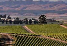 அரசாங்க ஊழியர்களுக்கு சிறப்பு கட்டணத்தில் உள்நாட்டு சுற்றுலா