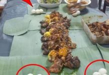 விருந்தில் ஆமை முட்டையா? தகவல் வழங்குபவர்களுக்கு காத்திருக்கிறது வெகுமதி