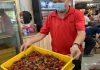 Pekebun Cameron Highlands ‘lelong’ strawberi