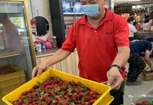 Pekebun Cameron Highlands ‘lelong’ strawberi
