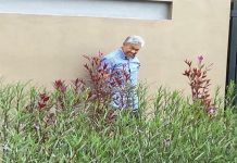 Lalang tidak boleh dibiarkan lama-lama – Ahmad Zahid