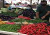 Harga sayur kembali stabil