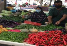 Harga sayur kembali stabil