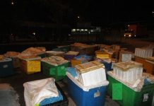 4,236 கிலோ கடல் உணவு பறிமுதல்