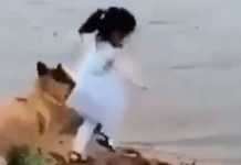 ஆபத்தை நோக்கி செல்லும் குழந்தை