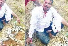 சிறுத்தையுடன் கட்டிப்புரண்டு சண்டை