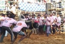 தஞ்சாவூர் அருகே நாஞ்சிக்கோட்டையில் ஜல்லிக்கட்டு