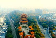 Asal-Usul COVID-19 | A.S & 13 negara lain bimbang penangguhan laporan WHO