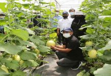 RUU kualiti benih tanaman akan dibentang di Parlimen