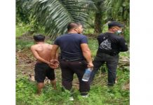 Suspek kes bunuh Ladang Melangking ditahan