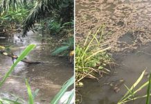 Bau najis di Sungai Kuang