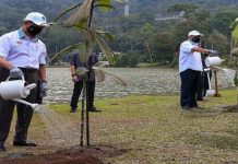 Dasar Perhutanan Malaysia satukan semua negeri