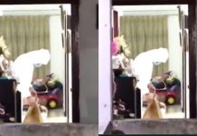 Wanita Dibunuh, Disembunyikan Bawah Katil, Pembuat Kuih Ditahan
