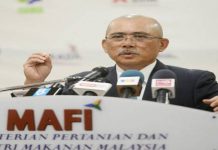 Bekalan makanan stabil
