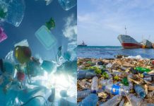 Sampah Plastik Cemari Laut Dijangka Terus Meningkat Tiga Kali Ganda Menjelang 2040