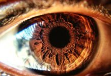 நெற்றிக்கண் மனிதன் வாழ்ந்தானா?