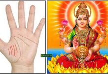 சுக்கிர மேடு சரியாக இருந்தால் பணவரவு சீராக இருக்கும்