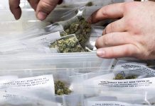 கஞ்சாவுடன் எல்லையைக் கடக்கும் போது