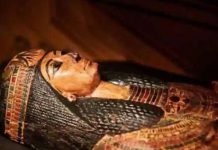 மரணத்திற்குப் பிந்தைய வாழ்க்கை