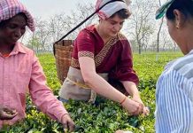 தேயிலை தொழிலாளியாக மாறினார்