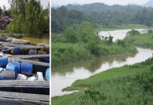 Ikan pemangsa terlepas ke Sungai Perak