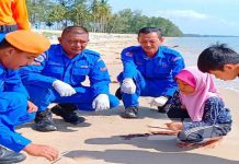 Obor-obor serang Pantai Tok Bali