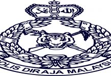 Hina Raja Permaisuri Agong : Aktivis Ditahan