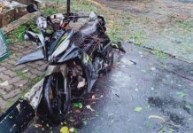 மரக்கிளை விழுந்து உணவு விநியோகஸ்தர் பலி