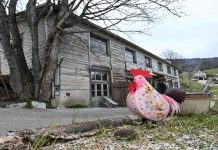 Culik di Perancis Selamat di Switzerland