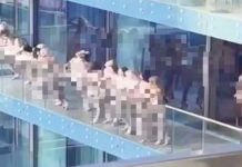 Ditangkap kerana berbogel beramai-ramai di balkoni