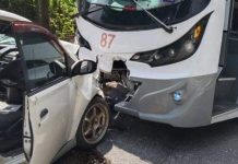 நாயை தவிர்க்க முயன்ற பேருந்தினால் விபத்து
