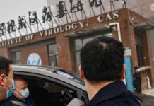 வவ்வால் மூலம் பரவிய கொரோனா.