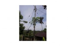 மின்சாரம் தாக்கி டிஎன்பி ஊழியர் உயிரிழந்தார்