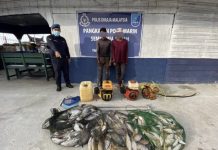 மீன் குண்டுகளை பயன்படுத்தி மீன் பிடித்த இருவர் கைது