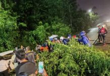 ஜாலான் ரவாங் சாலையில் மரம் விழுந்து இளைஞர் பலி