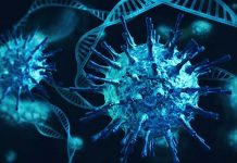 இந்தோனேசிய தூதர் தொற்றுக்குப் பலி