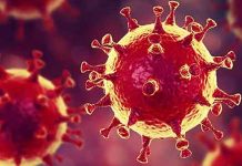 டெல்டா வைரஸ் 85 நாடுகளில் ஆட்டம் காட்டுகிறது!