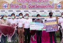 தடுப்பூசி செலுத்திக் கொண்டவர்களுக்கு பசுமாடு பரிசு